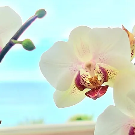 아파트 Sunrise Sea Views Eco With Swimming Pool *